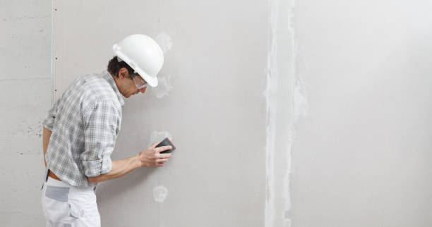 Best Drywall Sanding and Smoothing  in Wildwood, FL